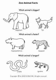 This animal is