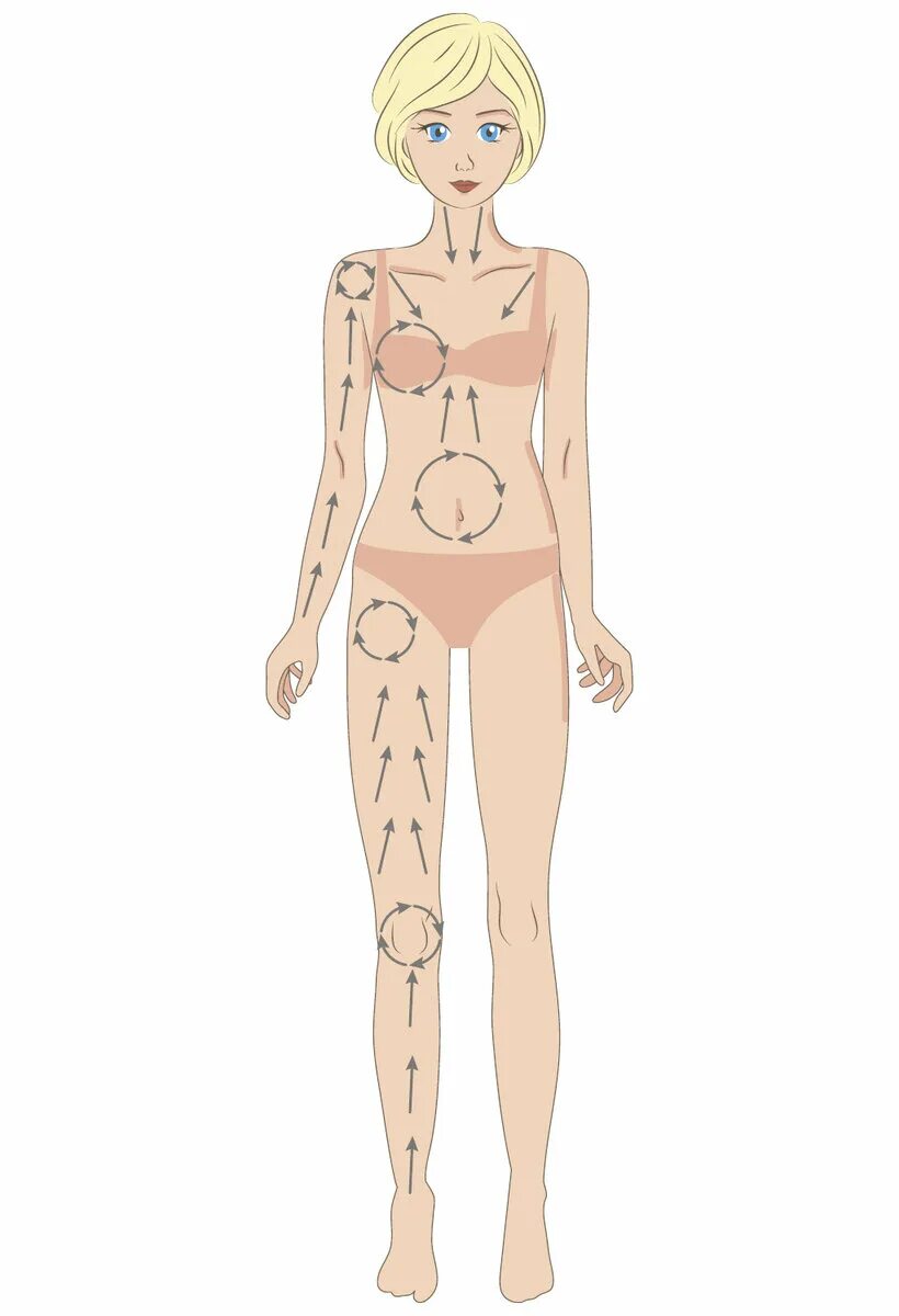 Схема массажа сухой щеткой от целлюлита. Лимфодренажный массаж сухой щеткой схема. Массаж сухой щёткой техника схема. Массаж сухой щёткой техника от целлюлита схема. Лимфодренажный массаж щеткой