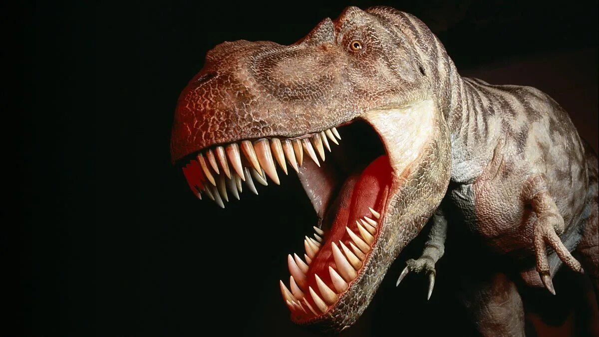 BBC Radio 4 - Natural Histories, Dinosaurs - Factosaurus: 12 facts about dinosau