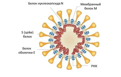 Строение 19