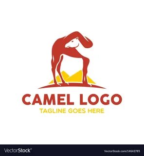 Бренд camel