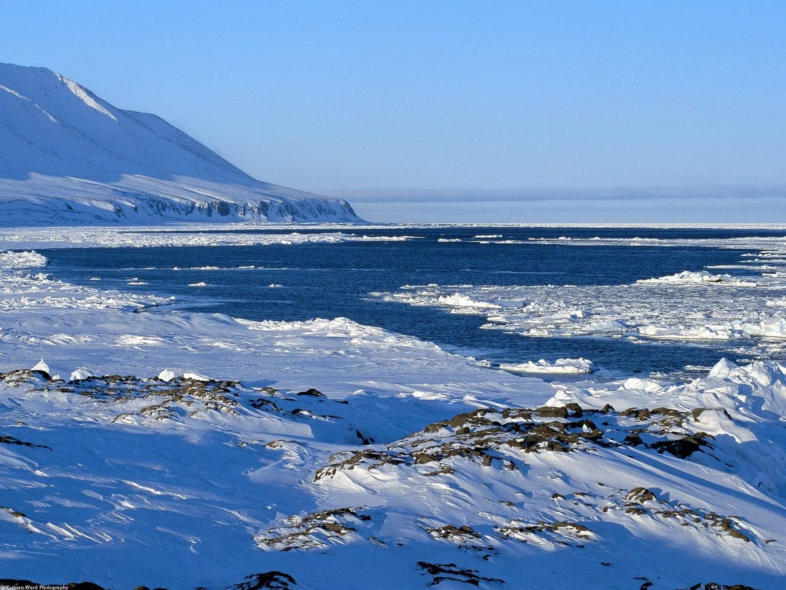 Арктические пустыни евразии и северной америки. Карское море и северно Ледовитый океан. Тундра Карское море. Зона арктических пустынь. Арктические и антарктические пустыни.