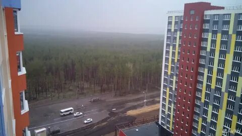 Вторичка боровое