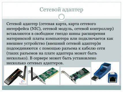 Характеристика сетевых карт