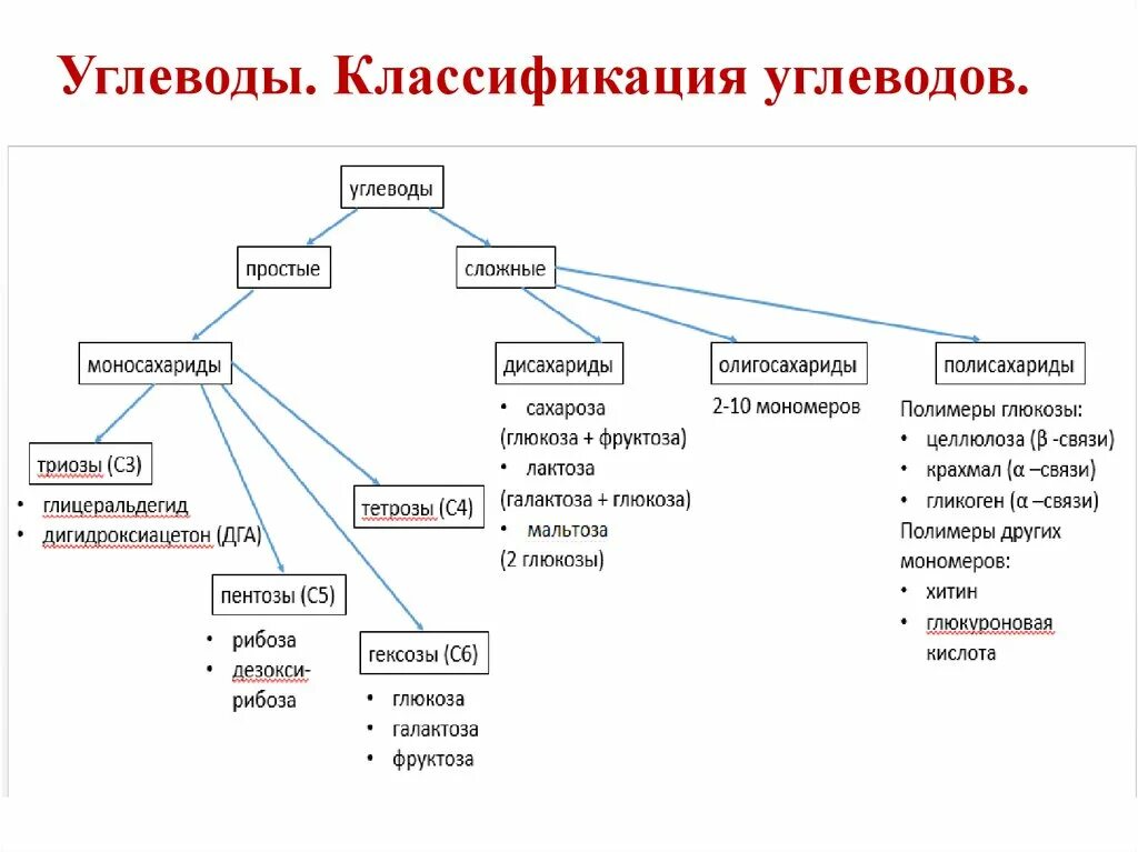 Составьте схему классификации углеводов. Углеводы схема по биологии 10 класс. Классификацияунлеводов. Классификаци яуглеволов.