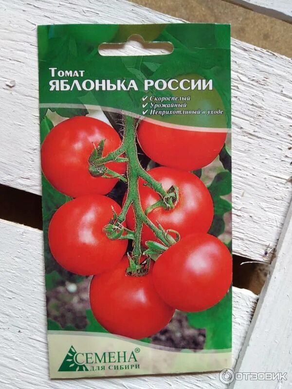 Сорт томата яблонька россии отзывы. Томаты сорт Яблонька России. Семена томат Яблонька России. Томат Яблонька России СЕДЕК. Гавриш томат Яблонька России.