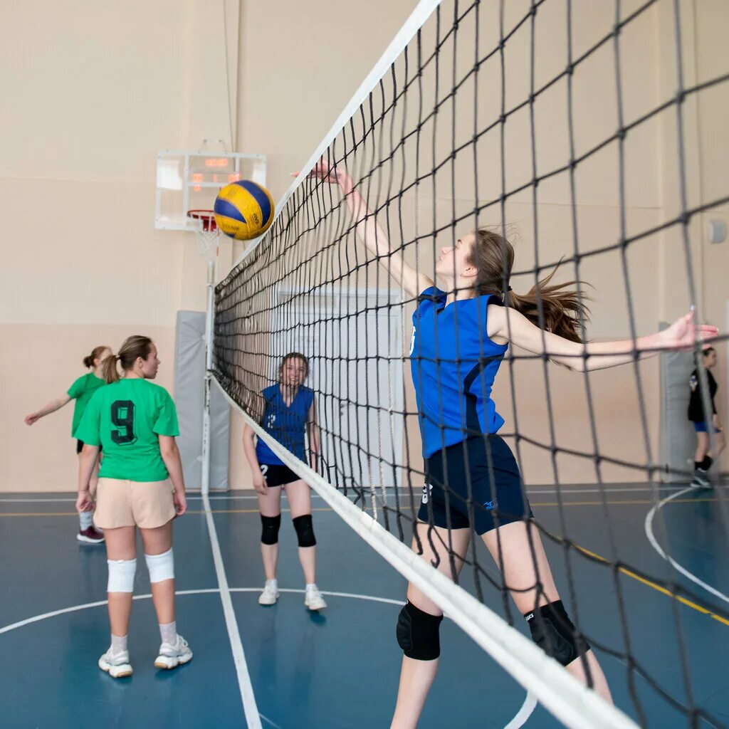 сборная хабаровск волейбол. пермская федерация волейбола. хабаровск волейбольные залы. волейбол хабаровск. роман приходько волейбол.