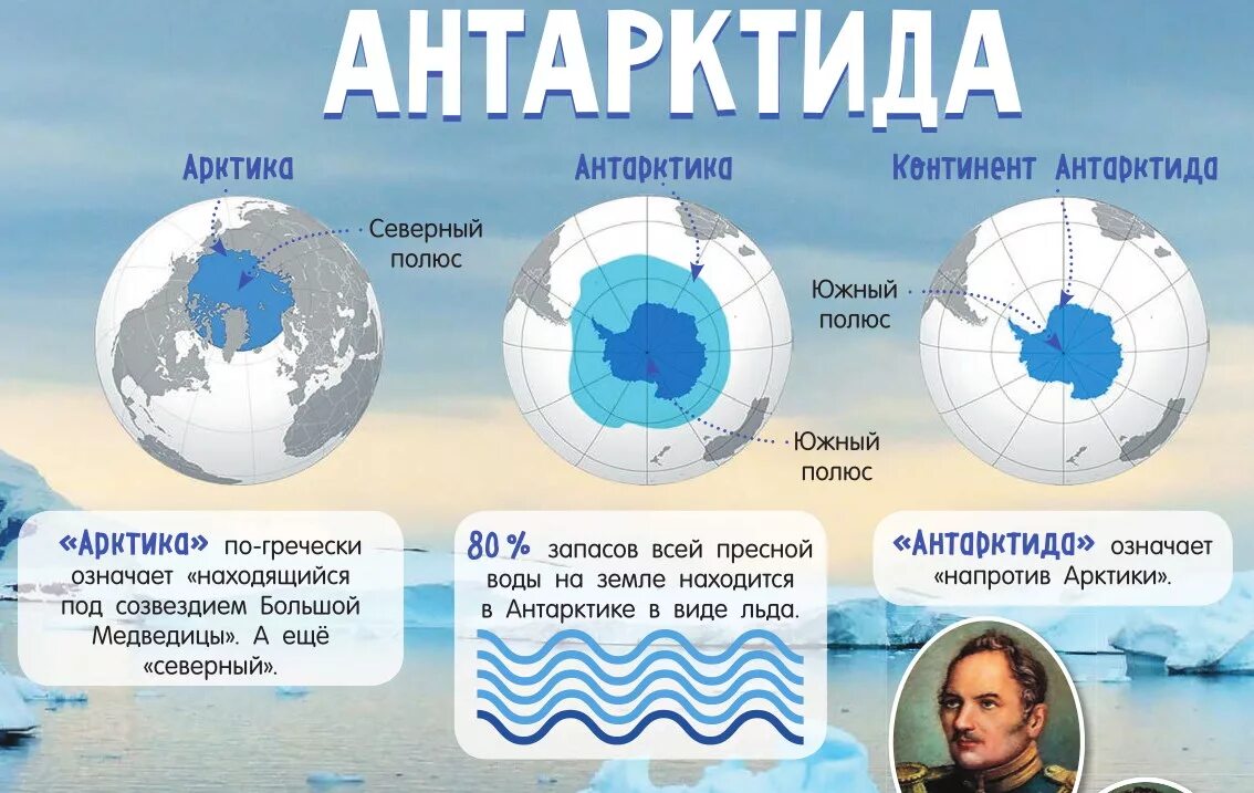 Какое направление в северном полюсе. Арктика и Антарктида. Антарктика и Антарктида. Антарктида Арктика Антарктика разница. Арктика и Антарктика на карте.