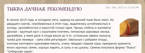 Кому нельзя есть тыкву противопоказания