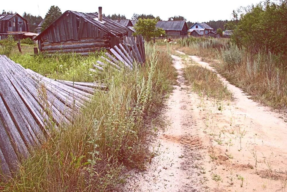 Другие сели в лесах. Деревня Лесная Новгородская область. Великий Новгород деревня Лесная. Затерянный поселок. Деревня Укарлино леса.