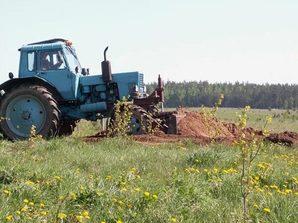 Племзавод заря грязовецкий. Вакансия тракторист. Схпк присухонское. Сельское хозяйство фото. Работа.