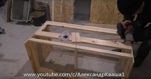 Индюшат своими руками