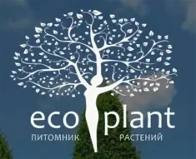 Eco plant. Лого Экоплант. Экоплант логотип ссылка. Экоплант питомник растений СПБ.