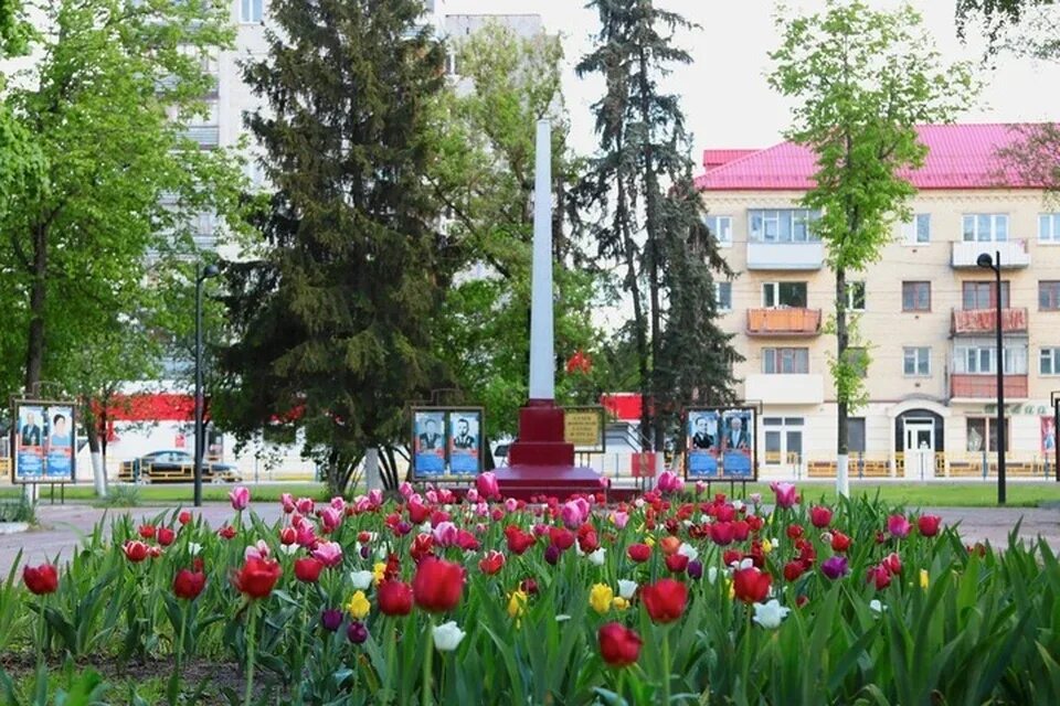 Сайты брянской обл. Брянск города Брянской области. Тюльпаны в городе Жуковка Брянской области. Клумбы Брянска. Красивые города Брянской области.