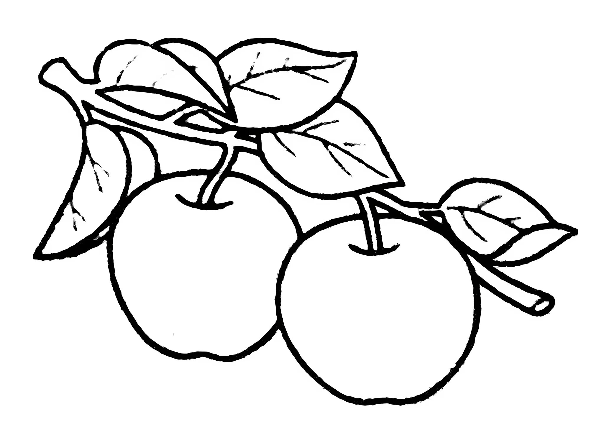 Раскраска 3 яблока. Яблоко раскраска. Яблоко раскраска для детей. Яблочко раскраска для детей. Яблоко рисунок для детей.