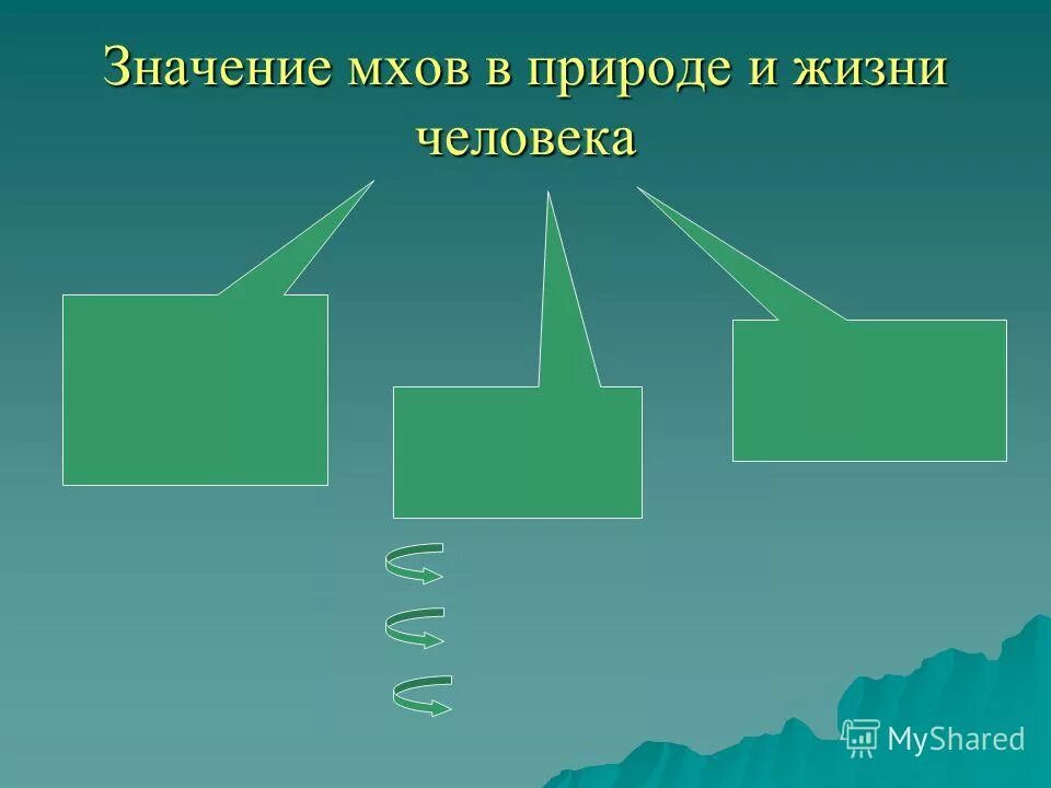 значение мхов в природе и жизни человека. ролл ихов в жизни человнка. значение мхов в природе. значение мхов в природе. значение мхов в природе.