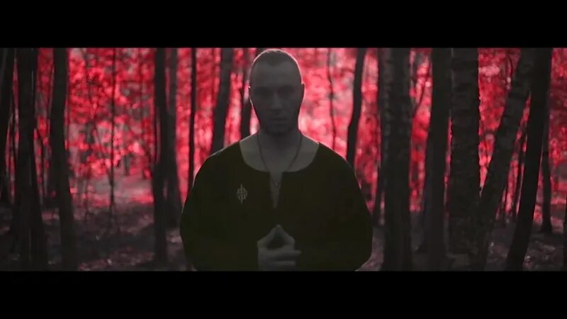 Типси тип лес. Типси тип лес дал. лес дал типси тип смысл.