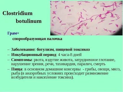 После лечения клостридий