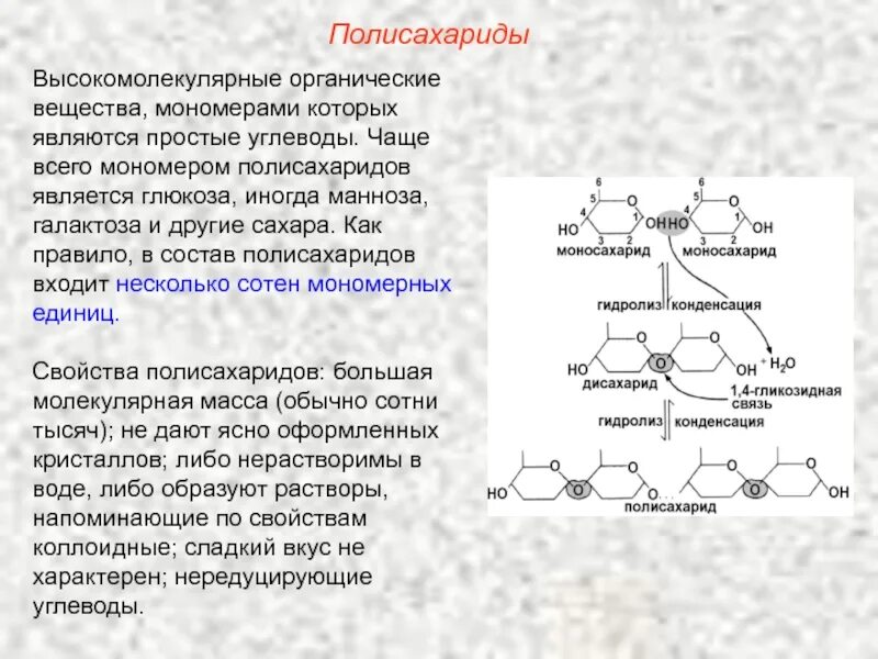 Какое вещество является мономером белка