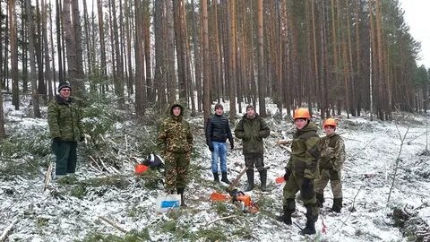 Техникум лесных технологий