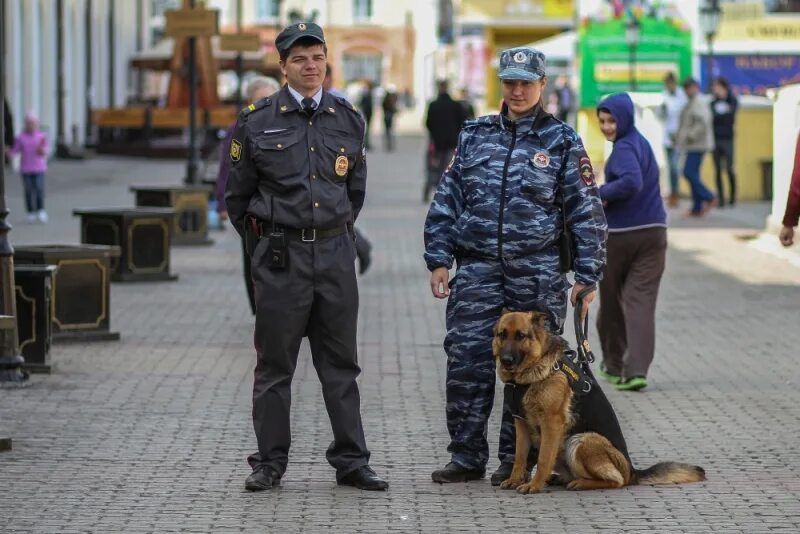 Структура кинологической службы. Структура кинологической службы