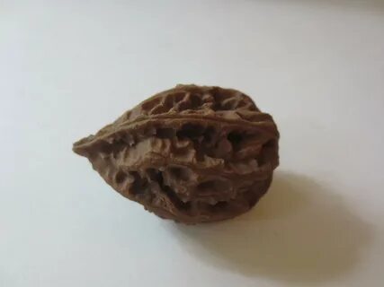 Орех который похож на грецкий орех