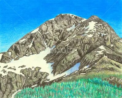 Хребет рисунок