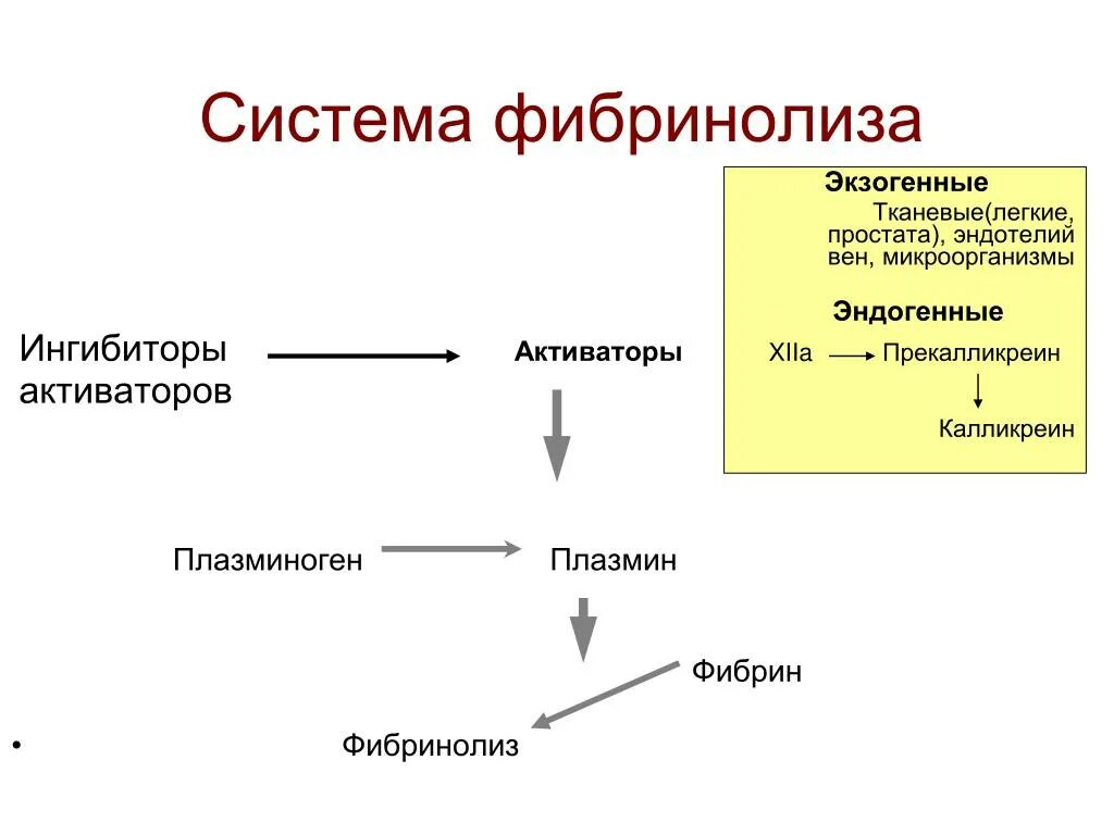 Система свертывания крови и фибринолиз. Активаторы фибринолитической системы крови. Фибринолиз схема физиология. Активаторы системы фибринолиза. Типы активаторов