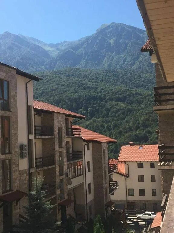 Калиновая улица красная поляна