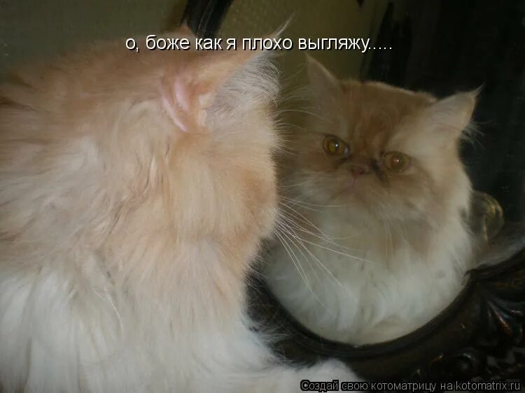 Свет мой зеркальце заткнись. Я на фото выгляжу плохо. Мне здесь плохо. Утро 2 января прикольное. Стремно получаюсь на фото.