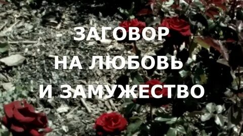Заговор замуж