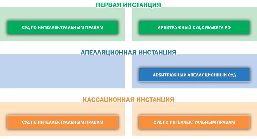 Суд по интеллектуальным правам структура. Суд по интеллектуальным правам в системе судов. Суд по интеллектуальным правам состав. Суд по интеллектуальным правам апелляция.