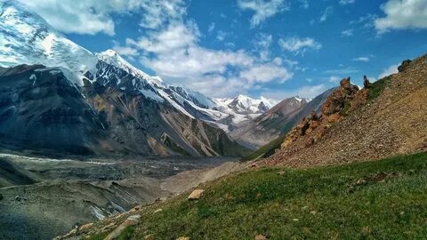 Батыс таулы ақ терьер