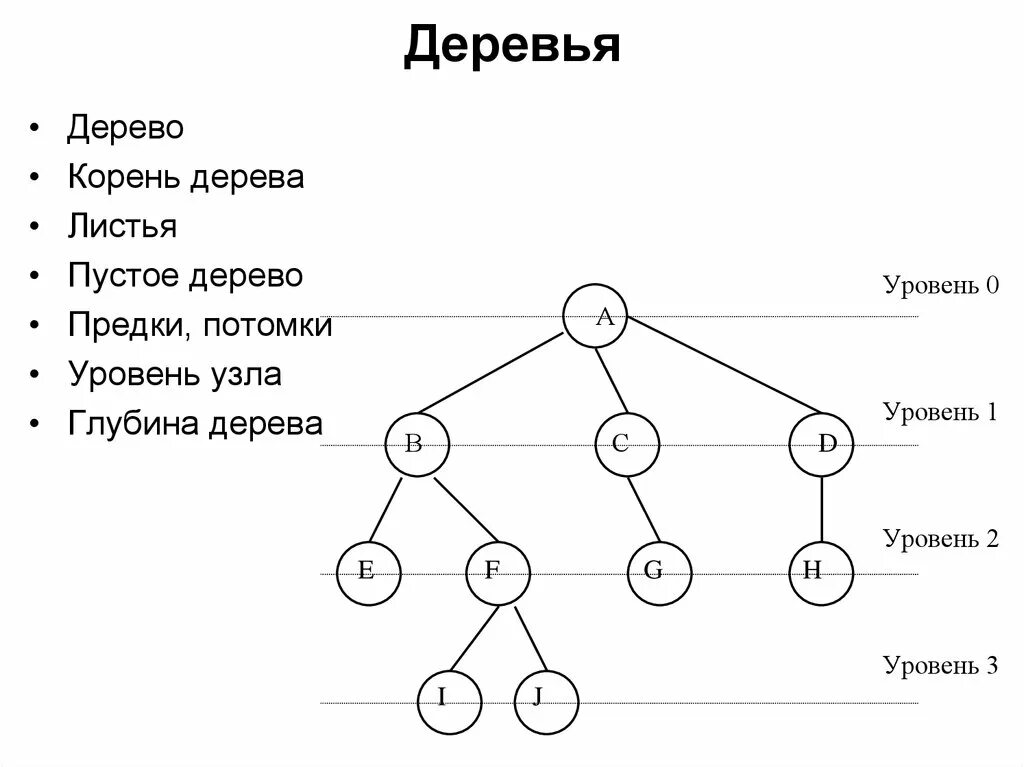 Потомки понятие. Уровни бинарного дерева. Бинарное дерево Информатика. Динамическая структура бинарное дерево.