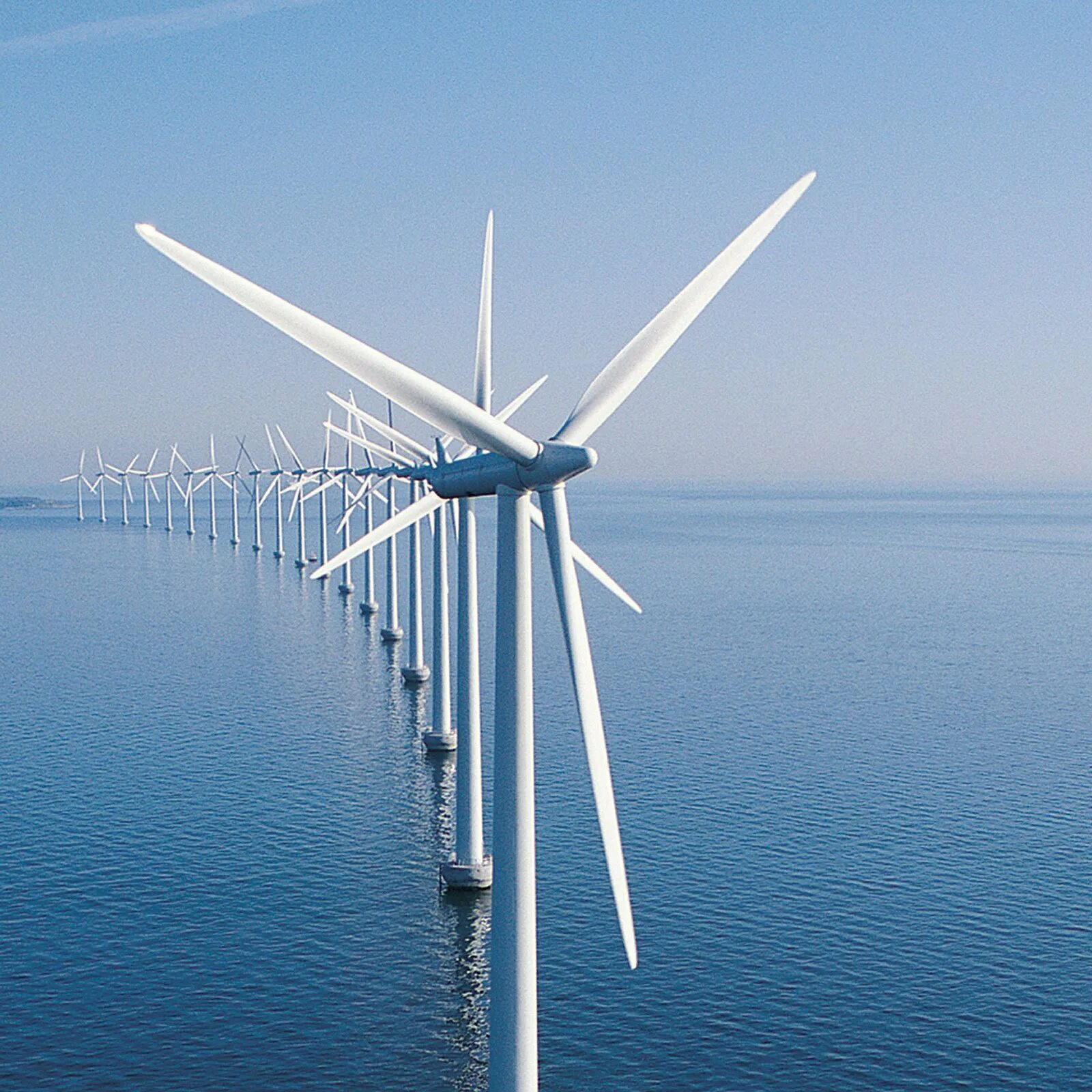 Акватория Тронхейма ветряки. Шельфовые ВЭС В Дании.. Ветрогенераторы Energy Wind. Ветряные электростанции (ВЭС).