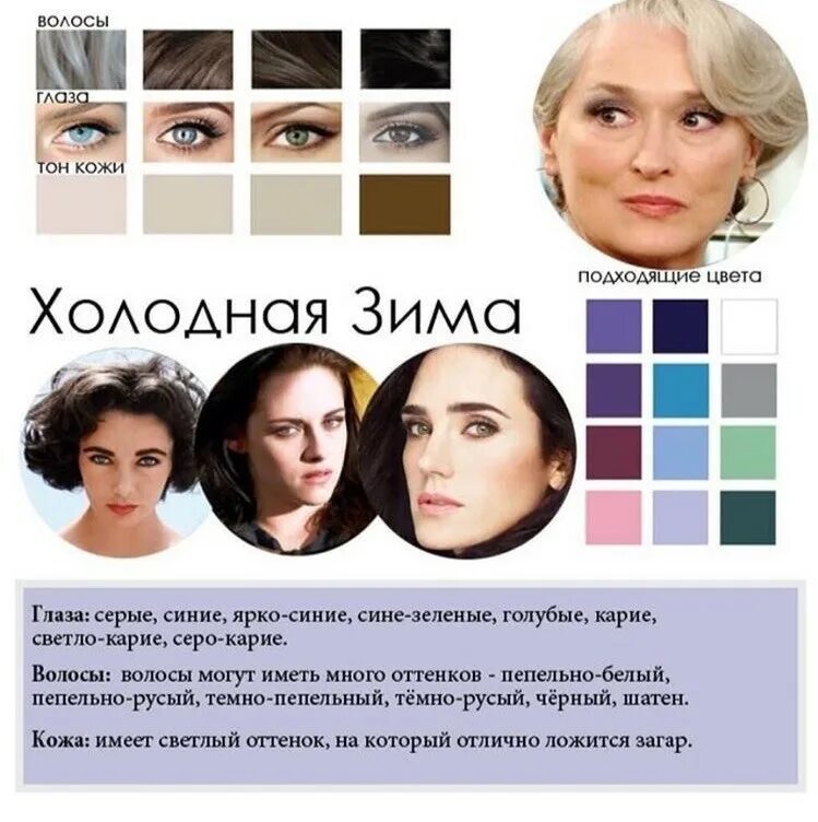 Типы внешности. Цветотип холодная зима палитра. Цветотип Весна лето осень зима. Желтый подтон кожи цветотип внешности. Тёмная зима цветотип палитра.