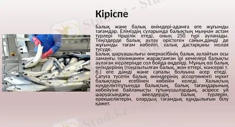 Вируссыз және төлемсіз порно видео