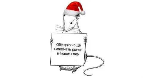 Смешные обещания на новый год