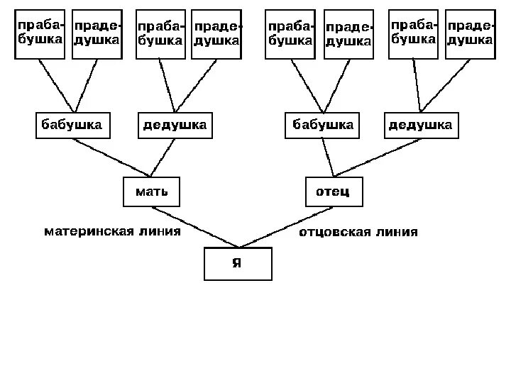 Рассказы первая в роду. Схема родственных связей 3 класс. Родословие семьи схема. Родословная семьи таблица. Древо семьи схема таблица.