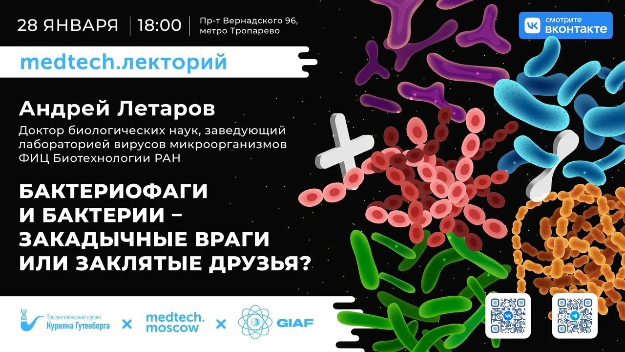 От чего могут быть бактерии. Бактерии. бактериофаги атакуют бактерию. азотфиксирующие бактерии как они связаны. какие бактерии могут быть на языке.