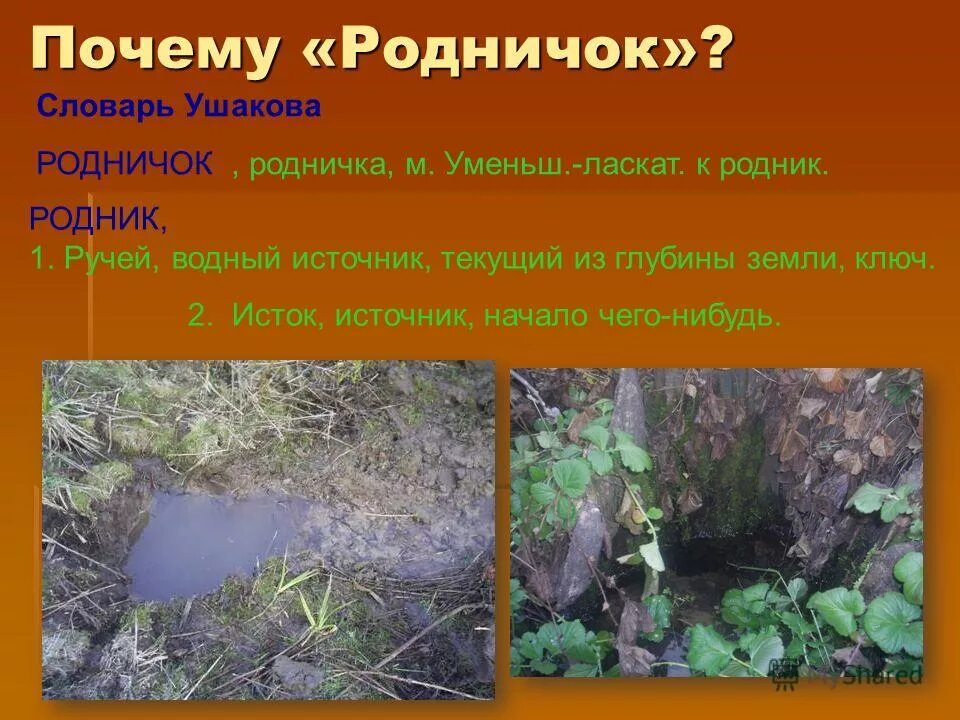 Водный источник текущий из глубины земли ключ