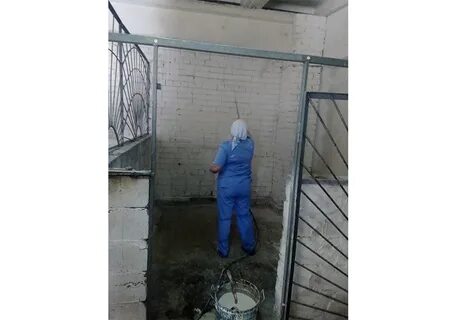 Беленные известью