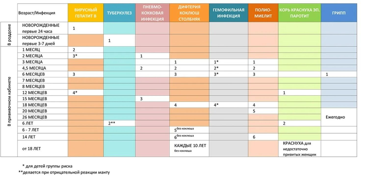 Календарь прививок манту