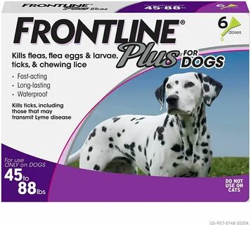 Запросы active dog