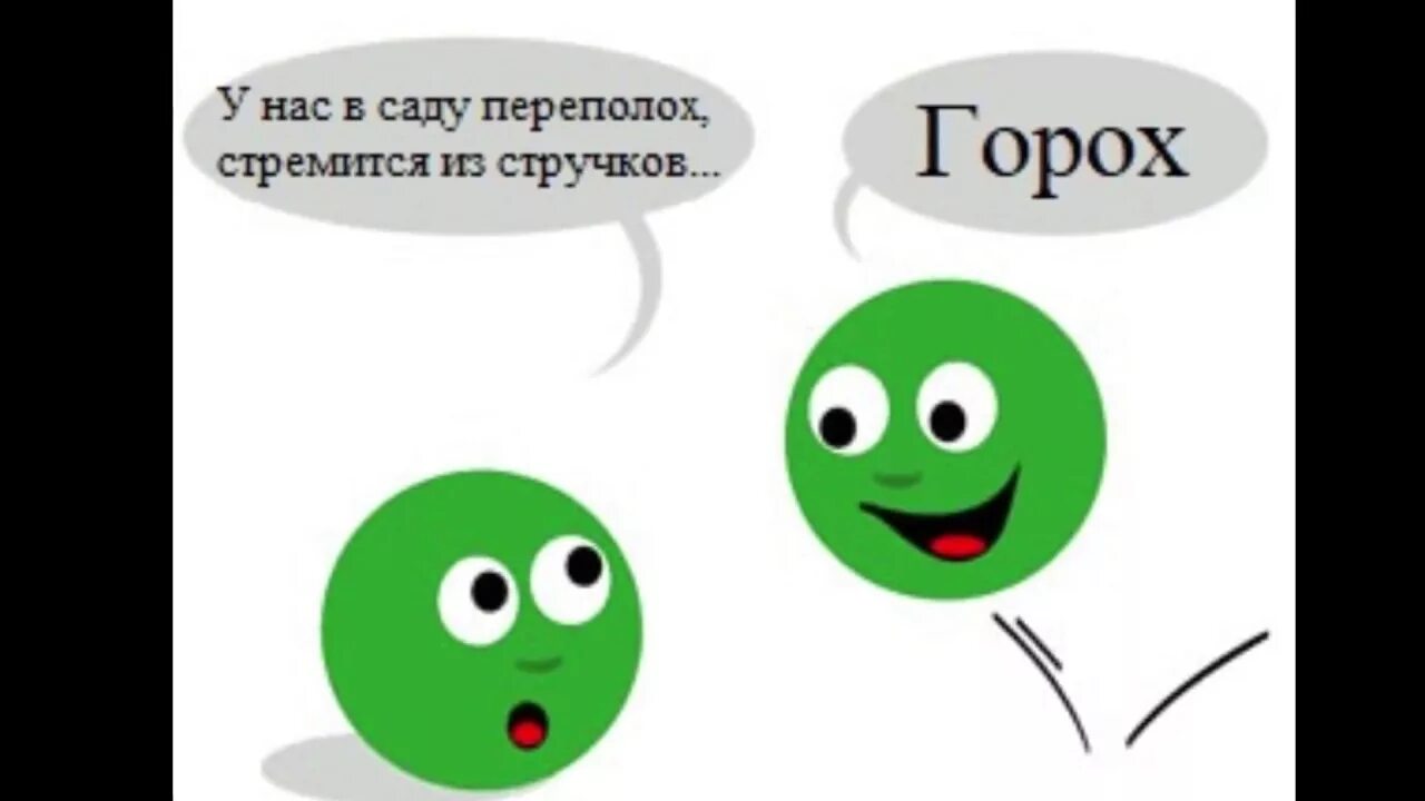 Смешной горох. Об стенку горох. Шутки про горох. Горошек смешной. Горохов приколы