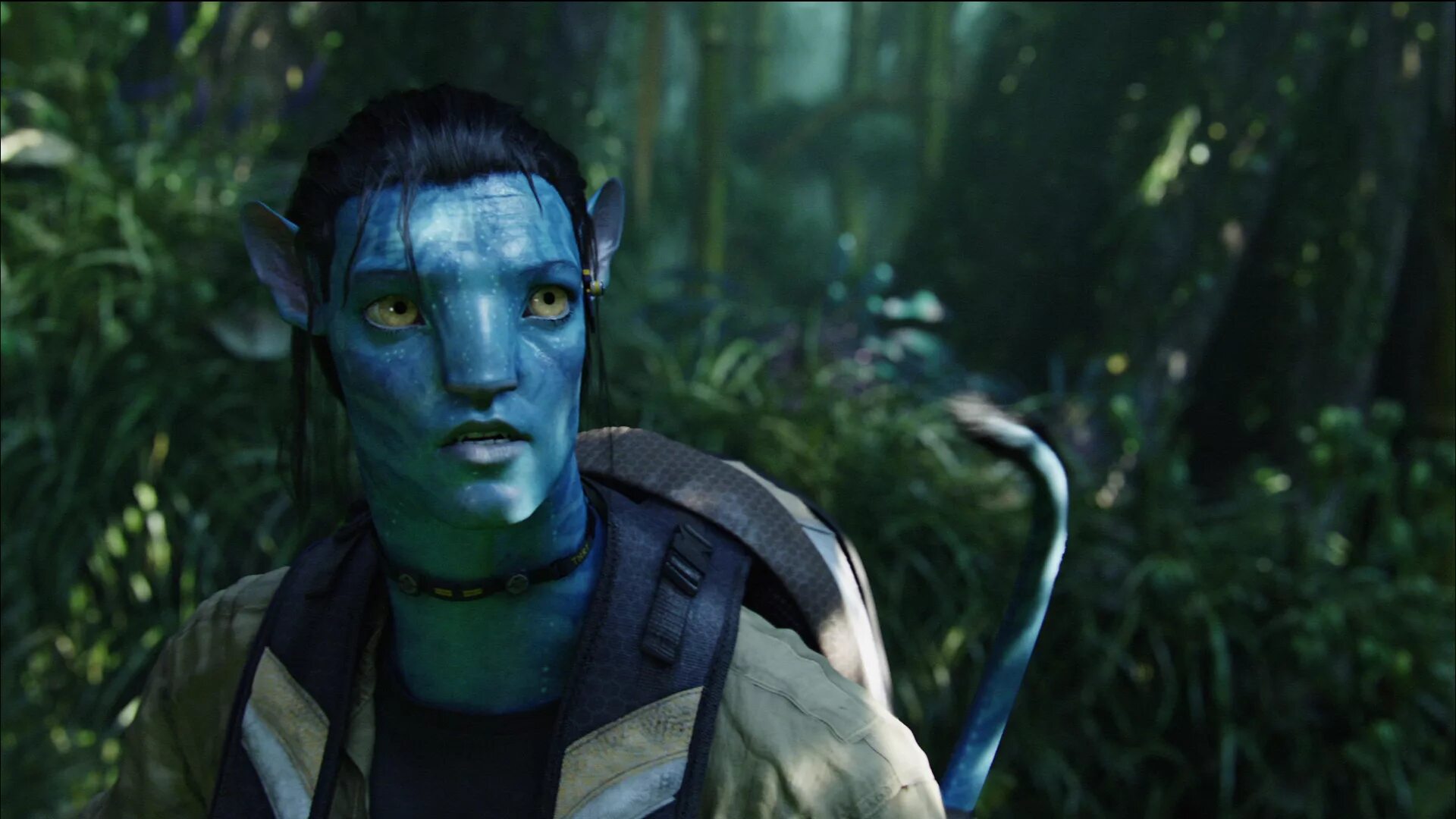 Avatar 2024 sub indo