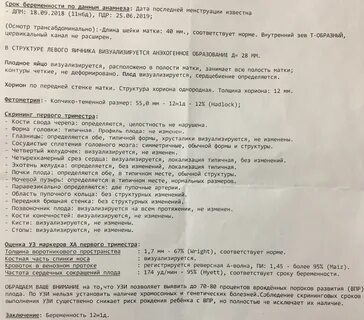 Первый срок узи при беременности
