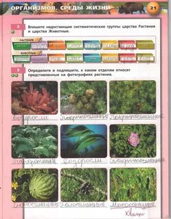 Царство растений среда обитания