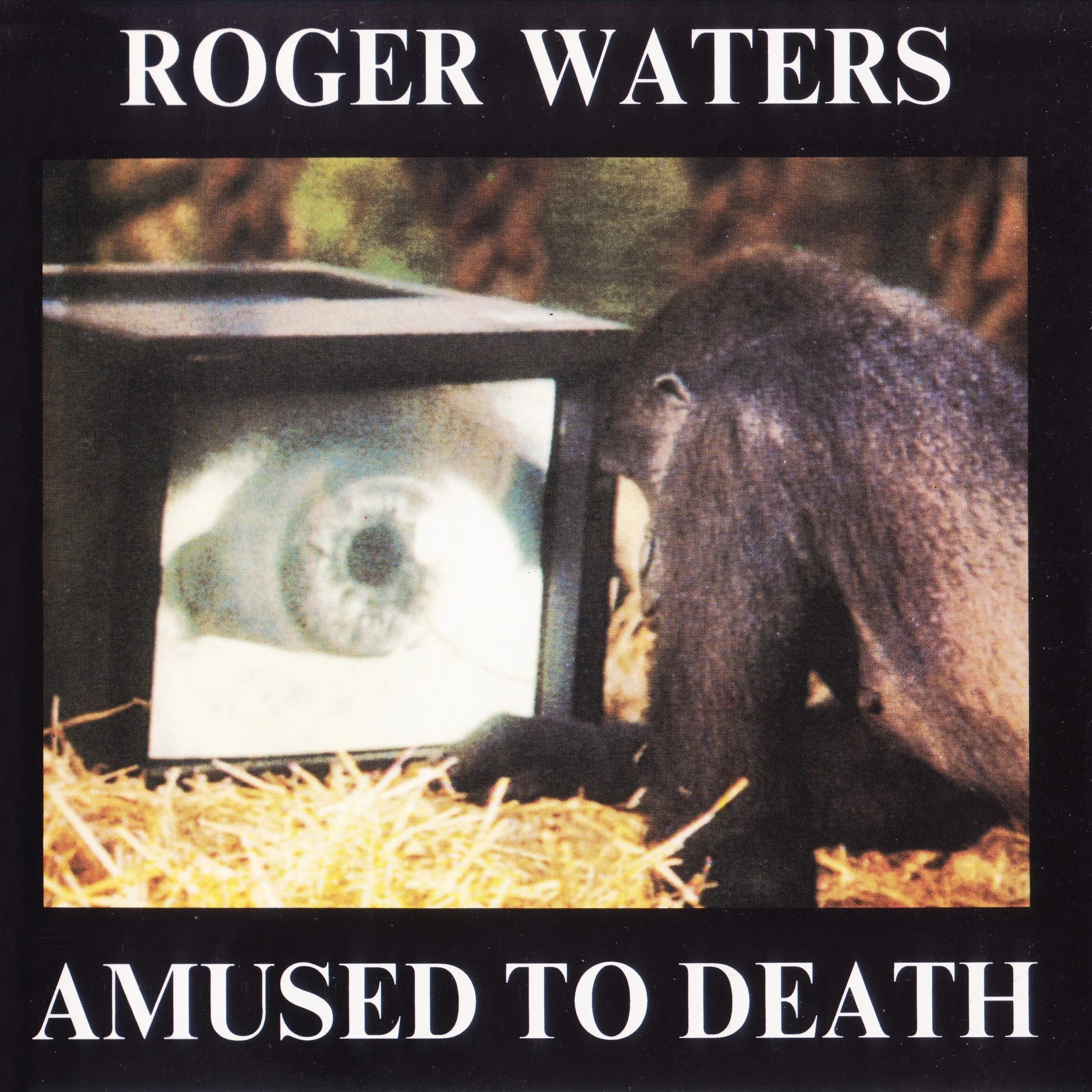 Amused to death. Роджер Уотерс 1992 amused to Death. Waters amused to Death обложка. Amused. Roger Waters - amused to Death 1992 [br].