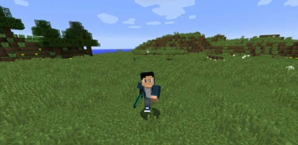 Player animation 1.19